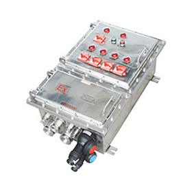 BXM(D)系列防爆照明（動(dòng)力）配電箱（不銹鋼殼體）