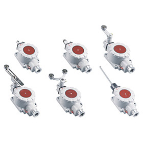 BLX系列（IIC級）防爆行程開關(guān)